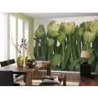 Komar / Into Illusions Edition 1 poszter