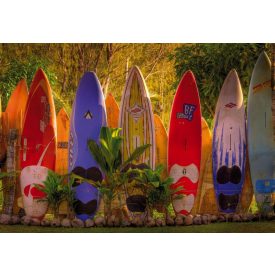 Komar / Into Illusions Edition 1 poszter