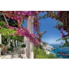 Komar / Into Illusions Edition 1 poszter