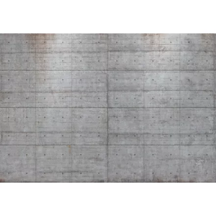 Komar / Into Illusions Edition 1 poszter