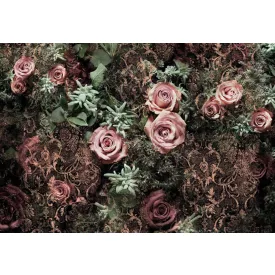 Komar / Into Illusions Edition 1 poszter