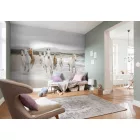 Komar / Into Illusions Edition 1 poszter