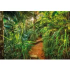 Komar / Into Illusions Edition 1 poszter