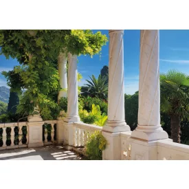 Komar / Into Illusions Edition 1 poszter