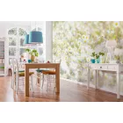 Komar / Into Illusions Edition 1 poszter