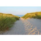 Komar / Into Illusions Edition 1 poszter