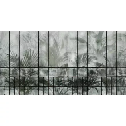 Tecnografica / Expedition