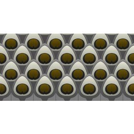 Tecnografica / Expedition