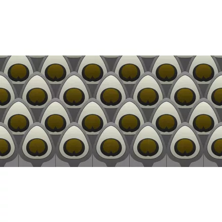 Tecnografica / Expedition