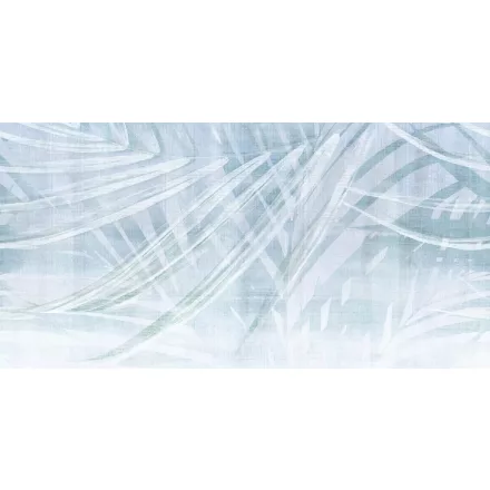 Tecnografica / Expedition