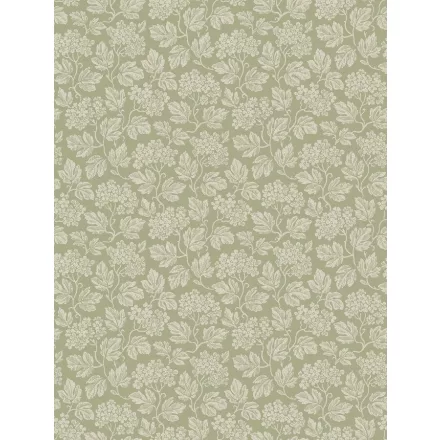 Boras / Anno II tapéta