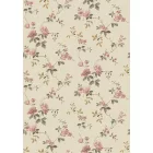 Boras / Anno II tapéta