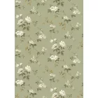 Boras / Anno II tapéta