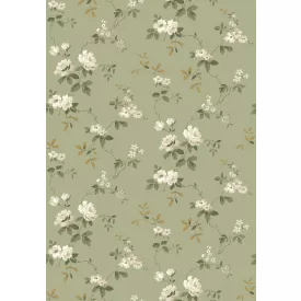 Boras / Anno II tapéta