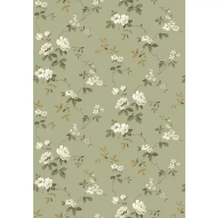 Boras / Anno II tapéta