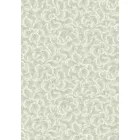 Boras / Anno II tapéta