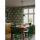 Boras / Anno II tapéta