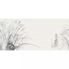 Tecnografica / Bioliving