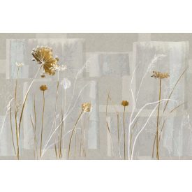 Tecnografica / Bioliving