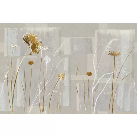 Tecnografica / Bioliving