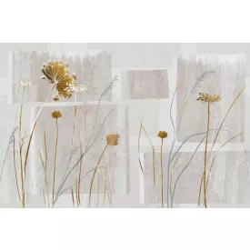 Tecnografica / Bioliving