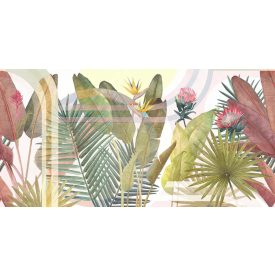 Tecnografica / Expedition