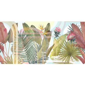 Tecnografica / Expedition