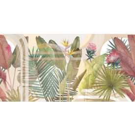 Tecnografica / Expedition