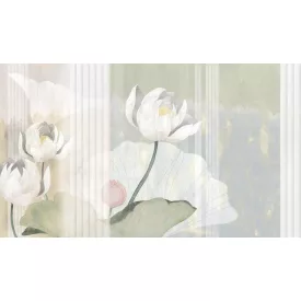 Tecnografica / Bioliving