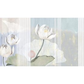 Tecnografica / Bioliving