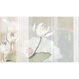 Tecnografica / Bioliving