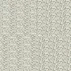 Boras / Charm tapéta