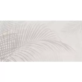 Tecnografica / Expedition