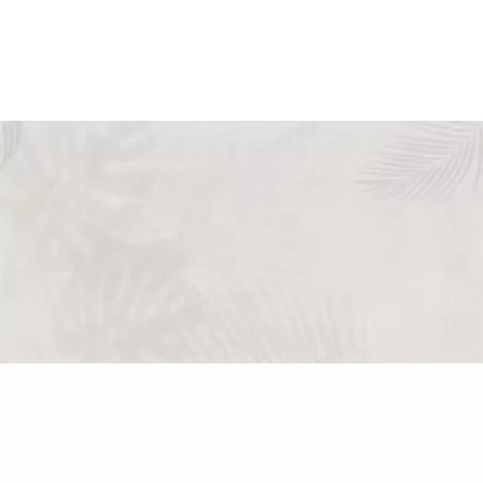 Tecnografica / Expedition