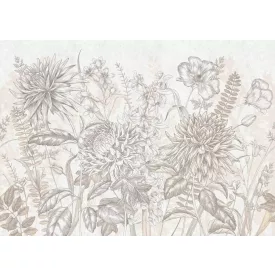 Tecnografica / Bioliving