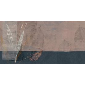 Tecnografica / Bioliving