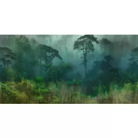 Tecnografica / Visioni