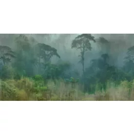 Tecnografica / Visioni