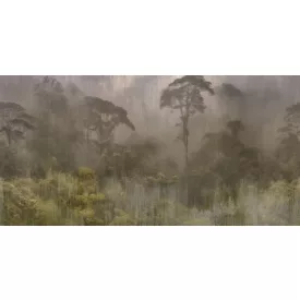 Tecnografica / Visioni