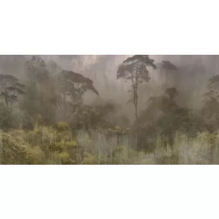 Tecnografica / Visioni