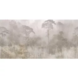 Tecnografica / Visioni