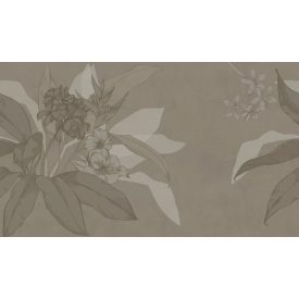 Tecnografica / Bioliving