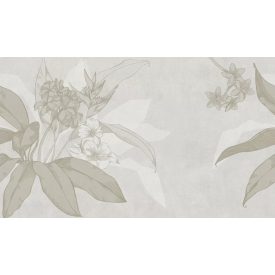 Tecnografica / Bioliving