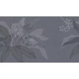 Tecnografica / Bioliving