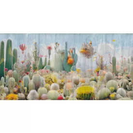 Tecnografica / Visioni