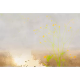 Tecnografica / Bioliving