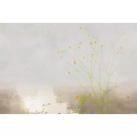 Tecnografica / Bioliving