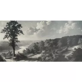 Tecnografica / Landscape