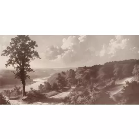 Tecnografica / Landscape