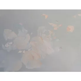 Tecnografica / Bioliving